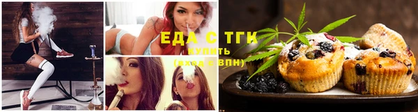 кокс Гусев