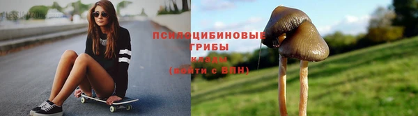 дурь Гусь-Хрустальный