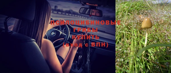 кокс Гусев