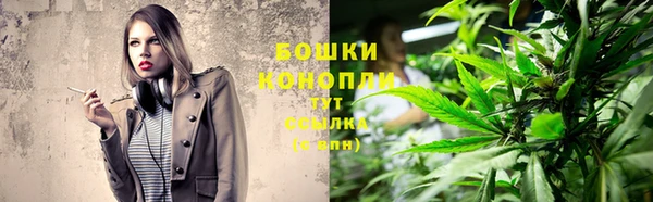 дурь Гусь-Хрустальный
