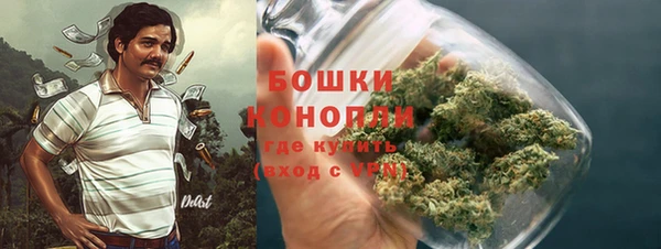 дурь Гусь-Хрустальный