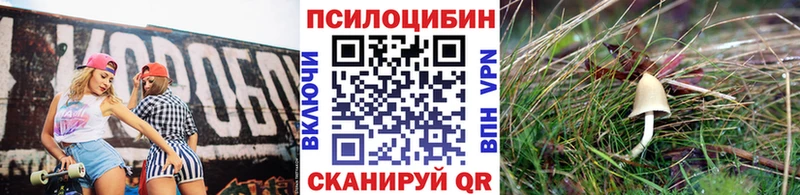Купить закладки  Орлов  Псилоцибиновые грибы прущие грибы 